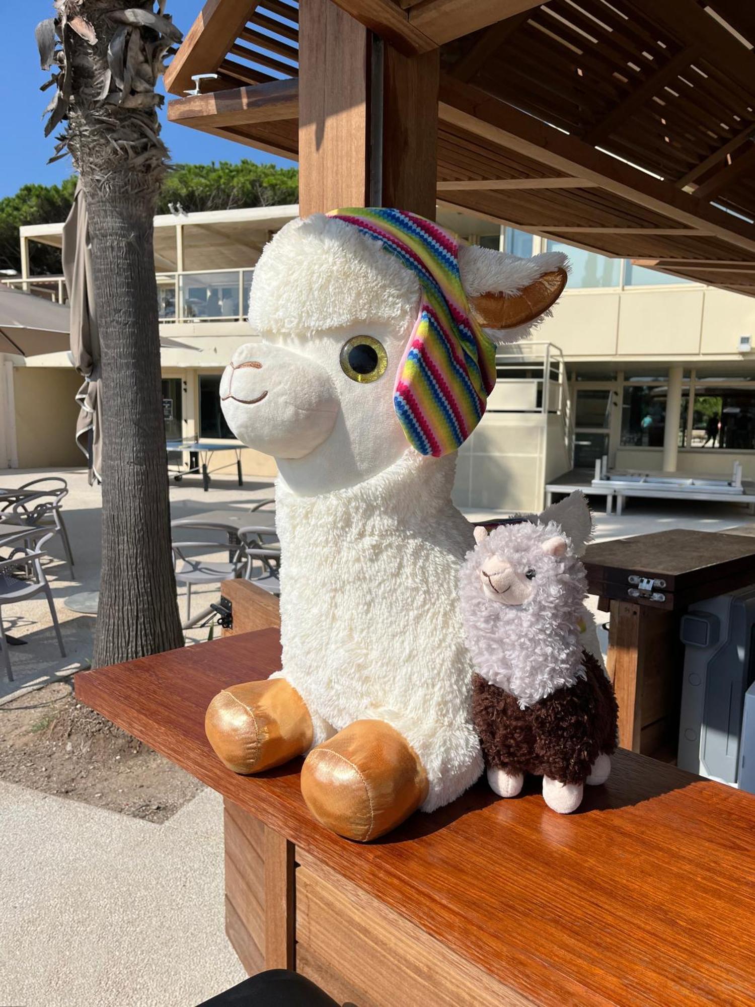 Kaliope & By Oustal Del Mar Aparthotel